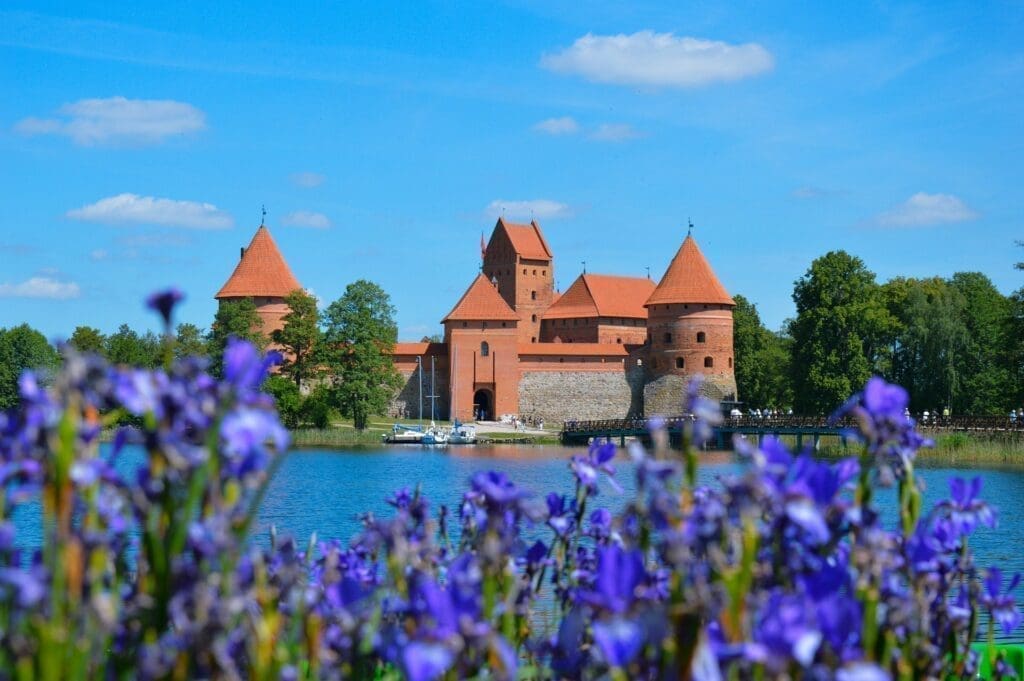 How Much Does It Cost To Get A Lithuanian Passport